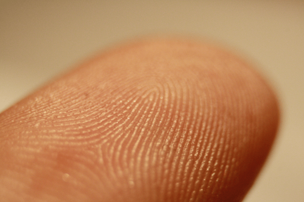 the history of fingerprinting