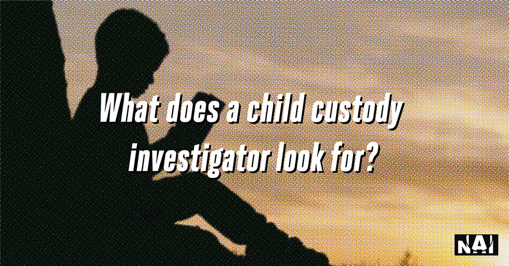 what does a child custody investigator look for?